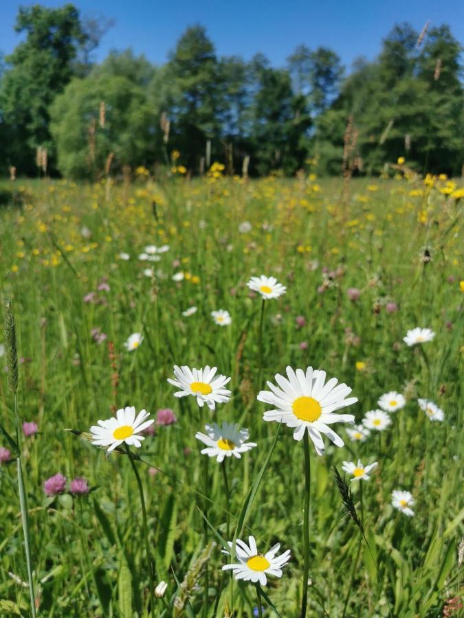 Landhotel Oelmuehle Mombris Bagian luar foto