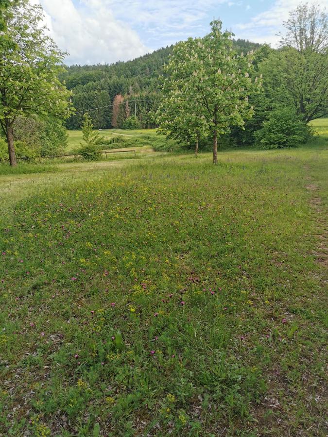 Landhotel Oelmuehle Mombris Bagian luar foto